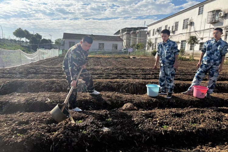 善一学校